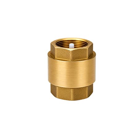 Valstop Check Valve