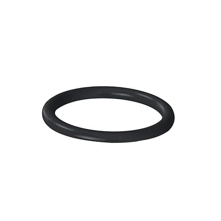 Thrust Washer O-Ring